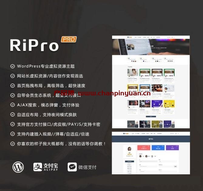 RiPro5.5免授权破解源码/WordPress虚拟资源付费主题模板