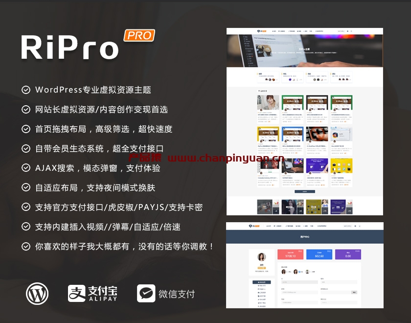 RiPro7.1开心版去授权破解版/WordPress资源付费下载主题模板