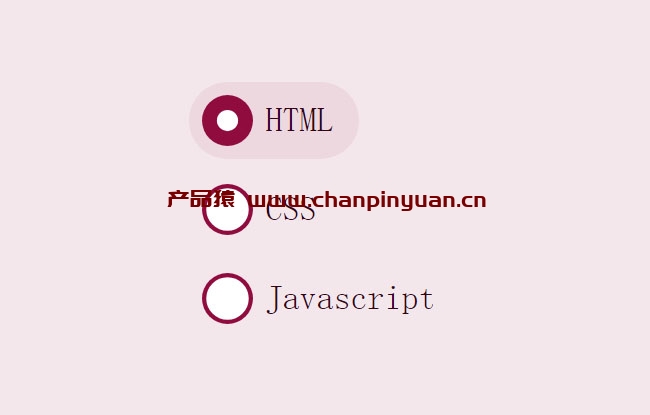 CSS3单选按钮动画特效