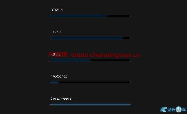 CSS3个人技能进度条